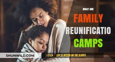 Understanding Family Reunification Camps: Purpose, Process, and Impact Explained