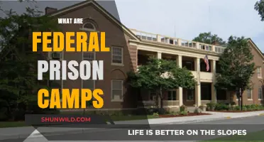 Understanding Federal Prison Camps: Purpose, Conditions, and Inmate Life