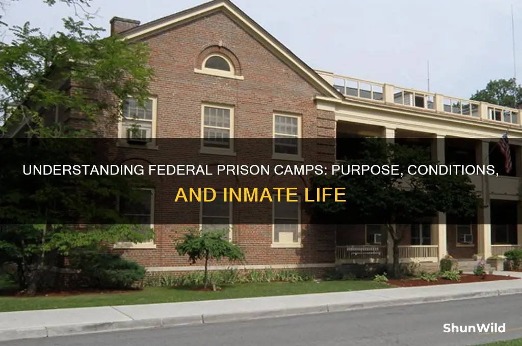 what are federal prison camps