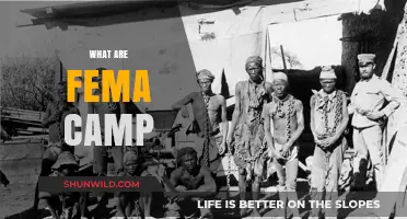 Understanding FEMA Camps: Myths, Facts, and Their Real Purpose Explained