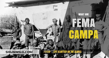 Understanding FEMA Camps: Purpose, Myths, and Realities Explained