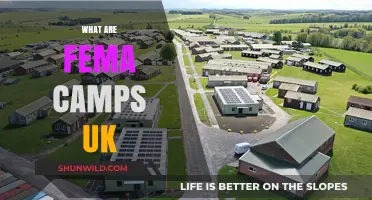 Unveiling the Truth: Understanding FEMA Camps in the UK