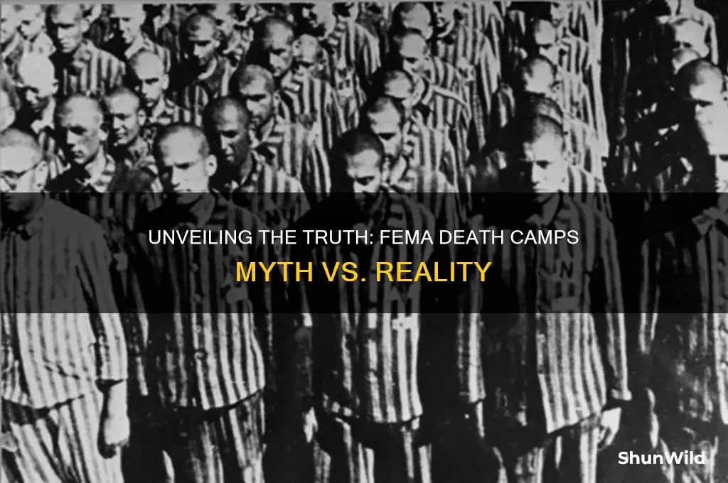 what are fema death camps