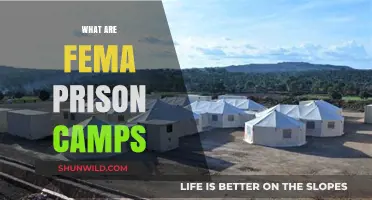 Unveiling the Truth: Understanding FEMA Prison Camps and Their Purpose