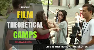 Exploring Film Theory: Understanding the Major Theoretical Camps
