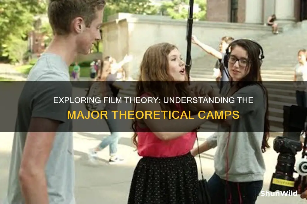 what are film theoretical camps