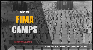 Understanding FEMA Camps: Myths, Realities, and Their True Purpose
