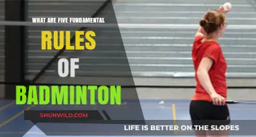 Badminton's Fundamental Rules: 5 Key Principles