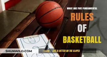 Fundamental Basketball Rules: 5 Key Principles for the Court