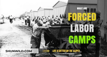 Unveiling the Dark Reality of Forced Labor Camps: A Comprehensive Guide