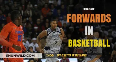 Understanding Basketball Forwards: Their Roles and Responsibilities