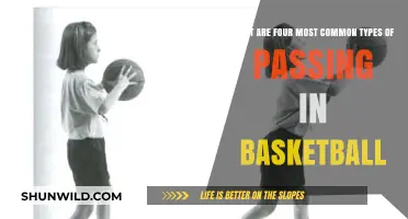 Passing Types: Basketball's Four Fundamental Ways to Pass