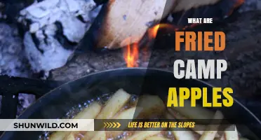 Discover the Sweet and Savory Delight of Fried Camp Apples