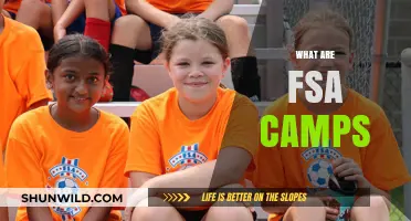 Exploring FSA Camps: Purpose, Activities, and Benefits for Students