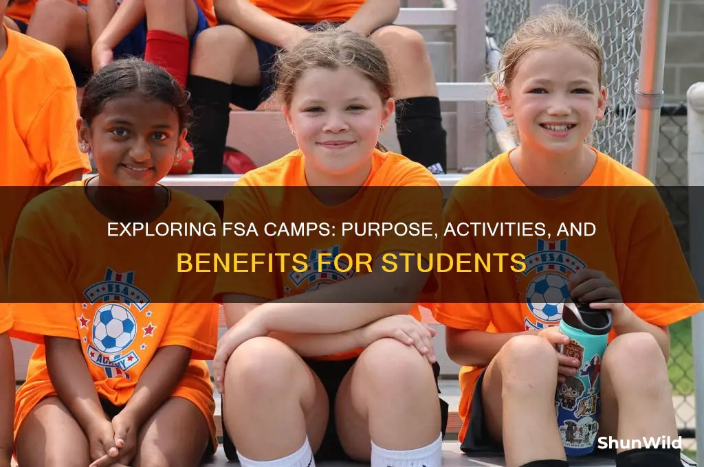 what are fsa camps
