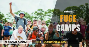 Understanding Fuge Camps: Purpose, Activities, and Impact Explained