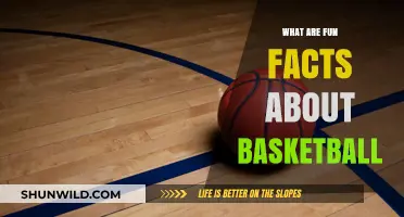 The Evolution of Basketball: Fun Facts and Trivia