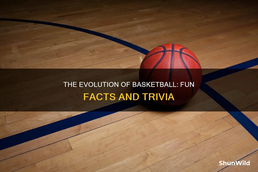 what are fun facts about basketball