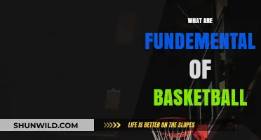 Basketball Basics: Fundamentals for Success on the Court