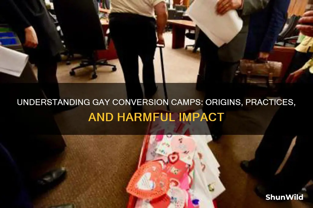 what are gay conversion camps
