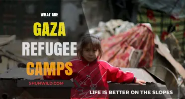 Understanding Gaza Refugee Camps: History, Challenges, and Humanitarian Efforts