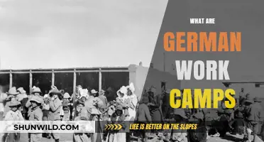 Exploring the History and Reality of German Work Camps