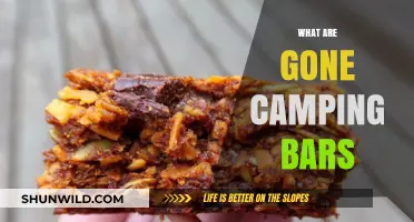 Gone Camping Bars: A Tasty, Portable Snack for Outdoor Adventures