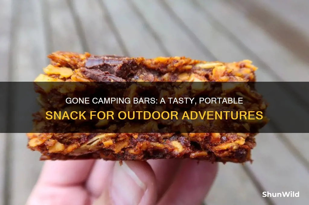 what are gone camping bars
