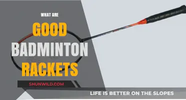 Best Badminton Rackets: Choosing the Right Gear