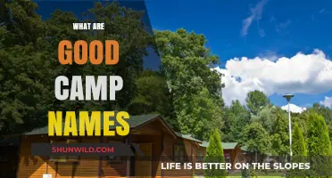 Creative Camp Names: Fun and Memorable Ideas for Your Next Adventure