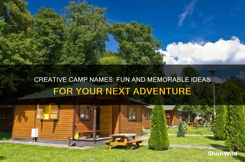 what are good camp names