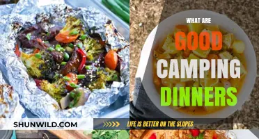 Delicious Camping Dinner Ideas for Outdoor Adventures and Easy Meals