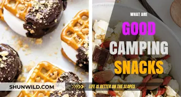 Perfect Camping Snacks: Easy, Portable, and Energizing Trail Treats