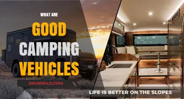 Top Camping Vehicles: Comfortable, Durable, and Adventure-Ready Options