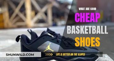 Best Affordable Basketball Shoes for the Court