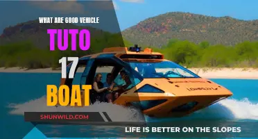 Boat and Vehicle Synergy: The Ultimate Guide