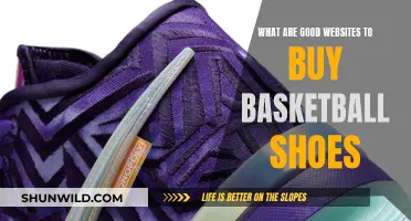 Best Online Stores for Basketball Shoes