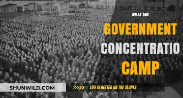 Understanding Government Concentration Camps: History, Purpose, and Global Impact