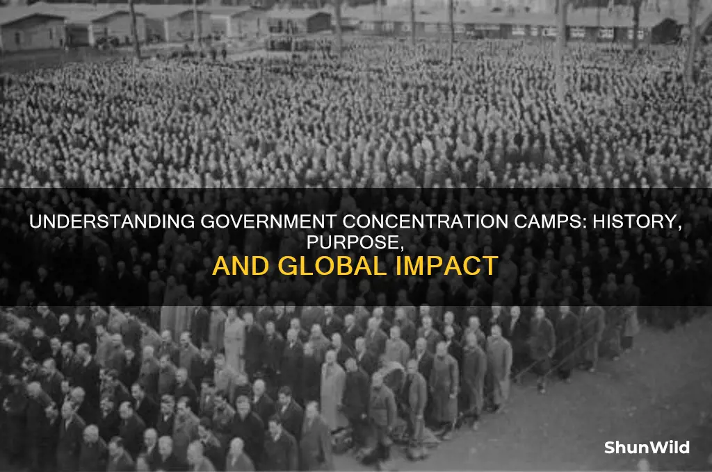 what are government concentration camp