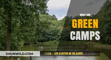 Exploring Green Camps: Sustainable Living and Environmental Education Retreats