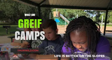 Understanding Grief Camps: Healing Spaces for Loss and Recovery