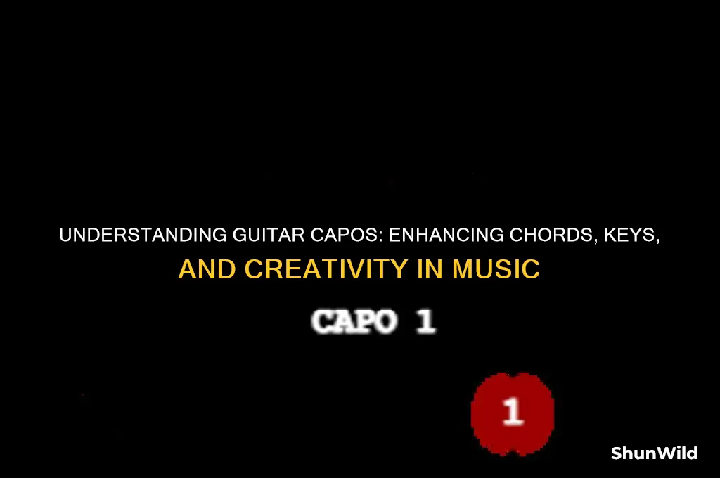 what are guitar campos for