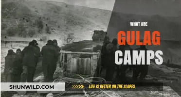 Unveiling the Dark History of Soviet Gulag Camps