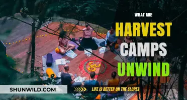 Harvest Camps Unwind: Relaxing Retreats for Post-Harvest Farmers