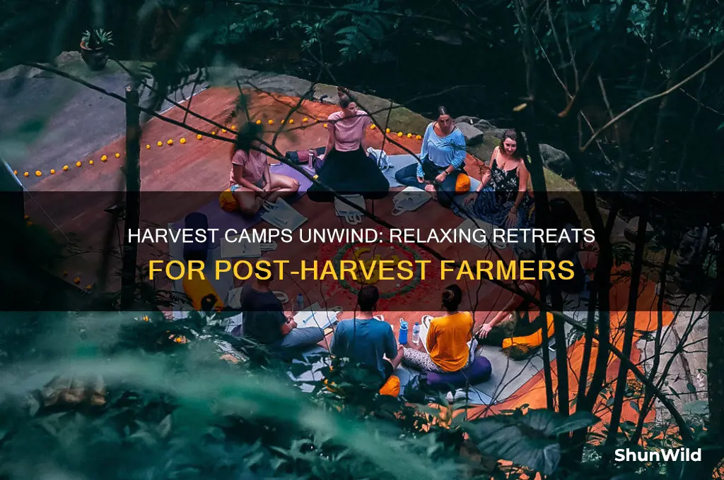 what are harvest camps unwind