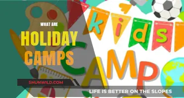 Discover the Fun and Adventure of Holiday Camps for Kids
