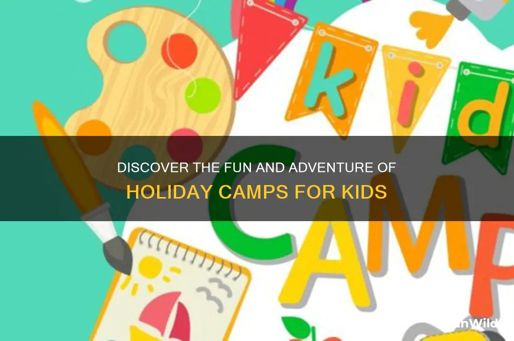what are holiday camps