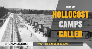 Understanding Holocaust Camps: Their Names, Locations, and Historical Significance