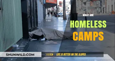 Understanding Homeless Camps: A Look at Their Purpose and Challenges
