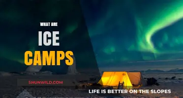 Exploring Ice Camps: Arctic Research, Survival, and Adventure Hubs